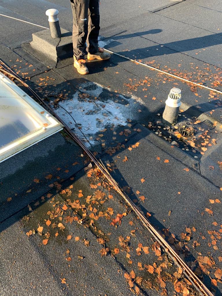 Roof and gutter maintenance